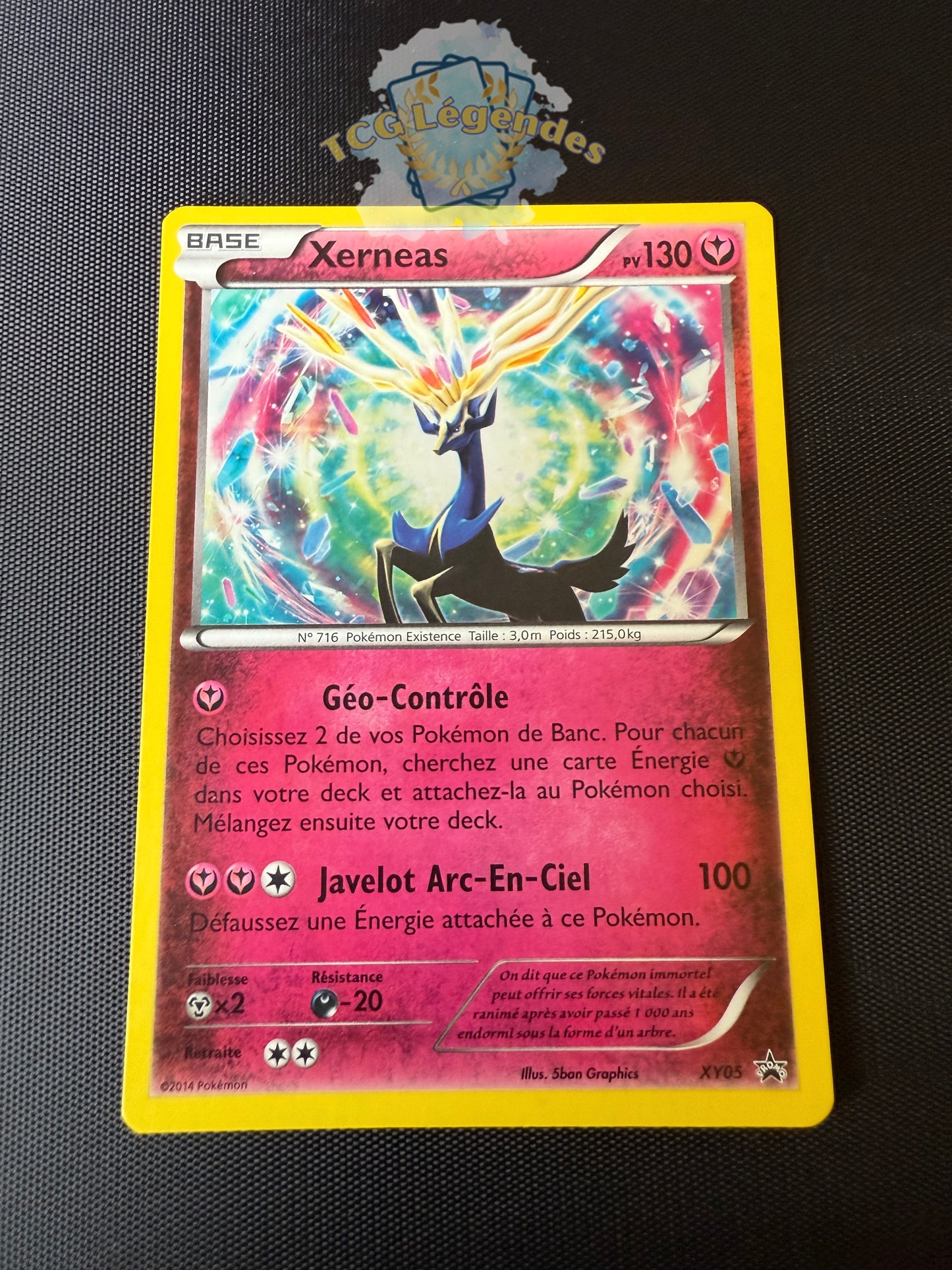 Xerneas XY05