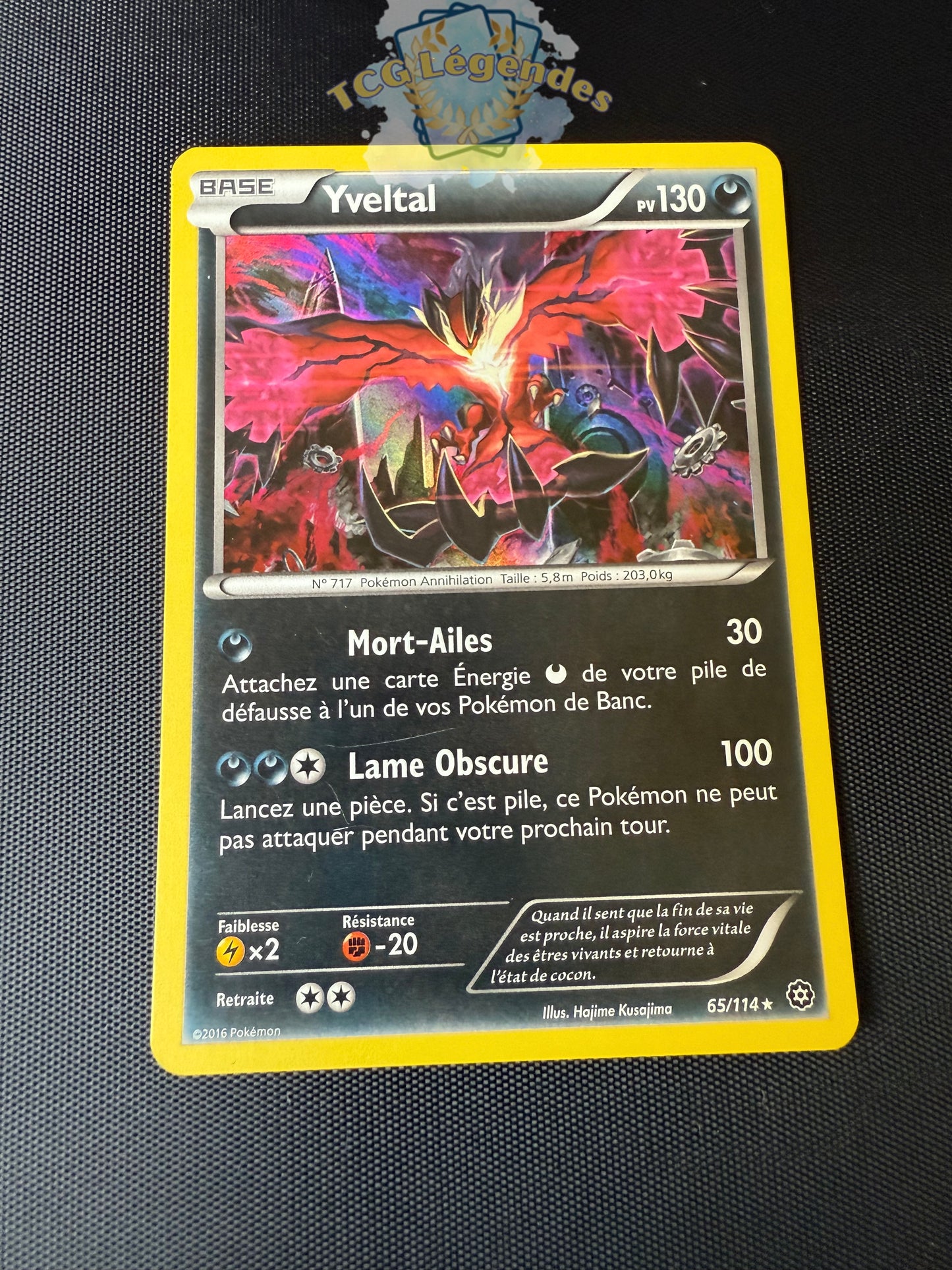 Yveltal 65/114