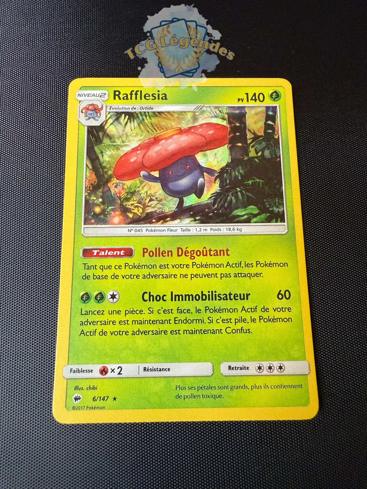 Rafflesia 6/147