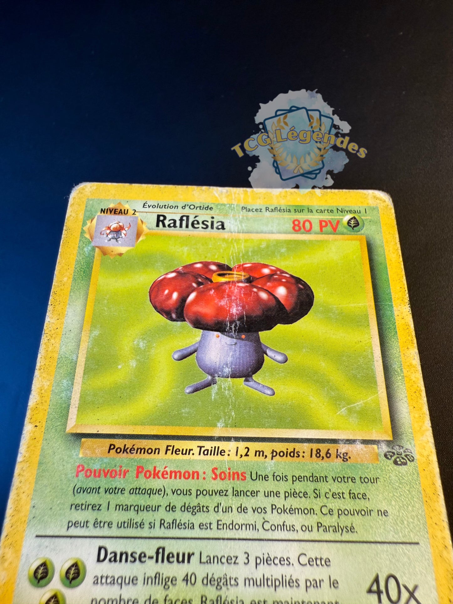 Raflésia 31/64