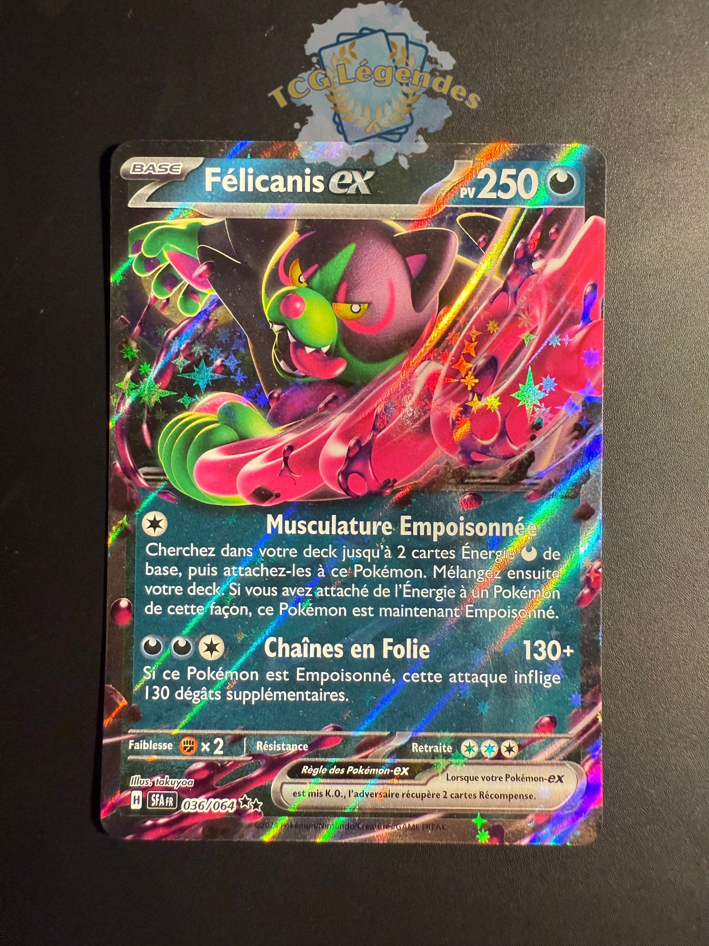 Félicanis ex 036/064