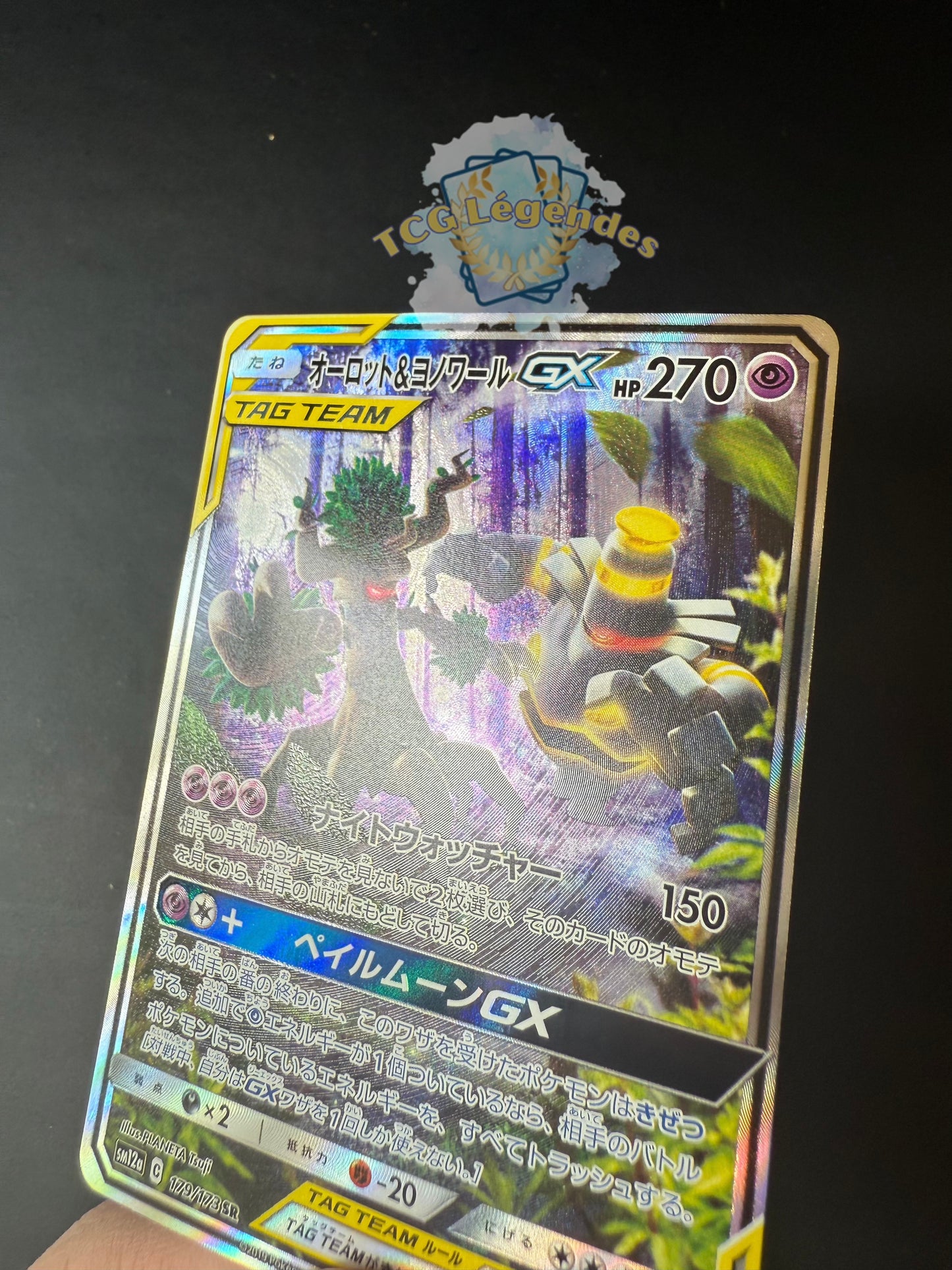 Trevenant & Dusknoir GX 179/173