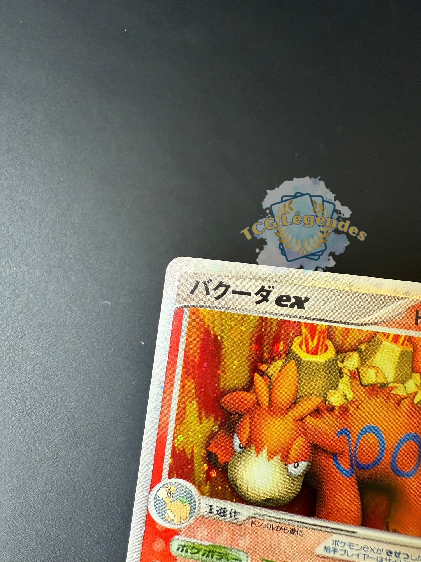 Camerupt ex 006/015