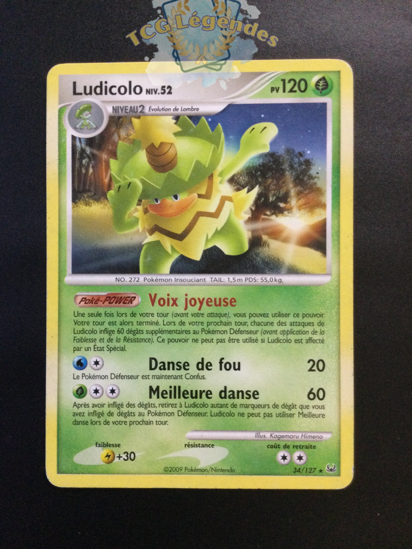 Ludicolo 34/127