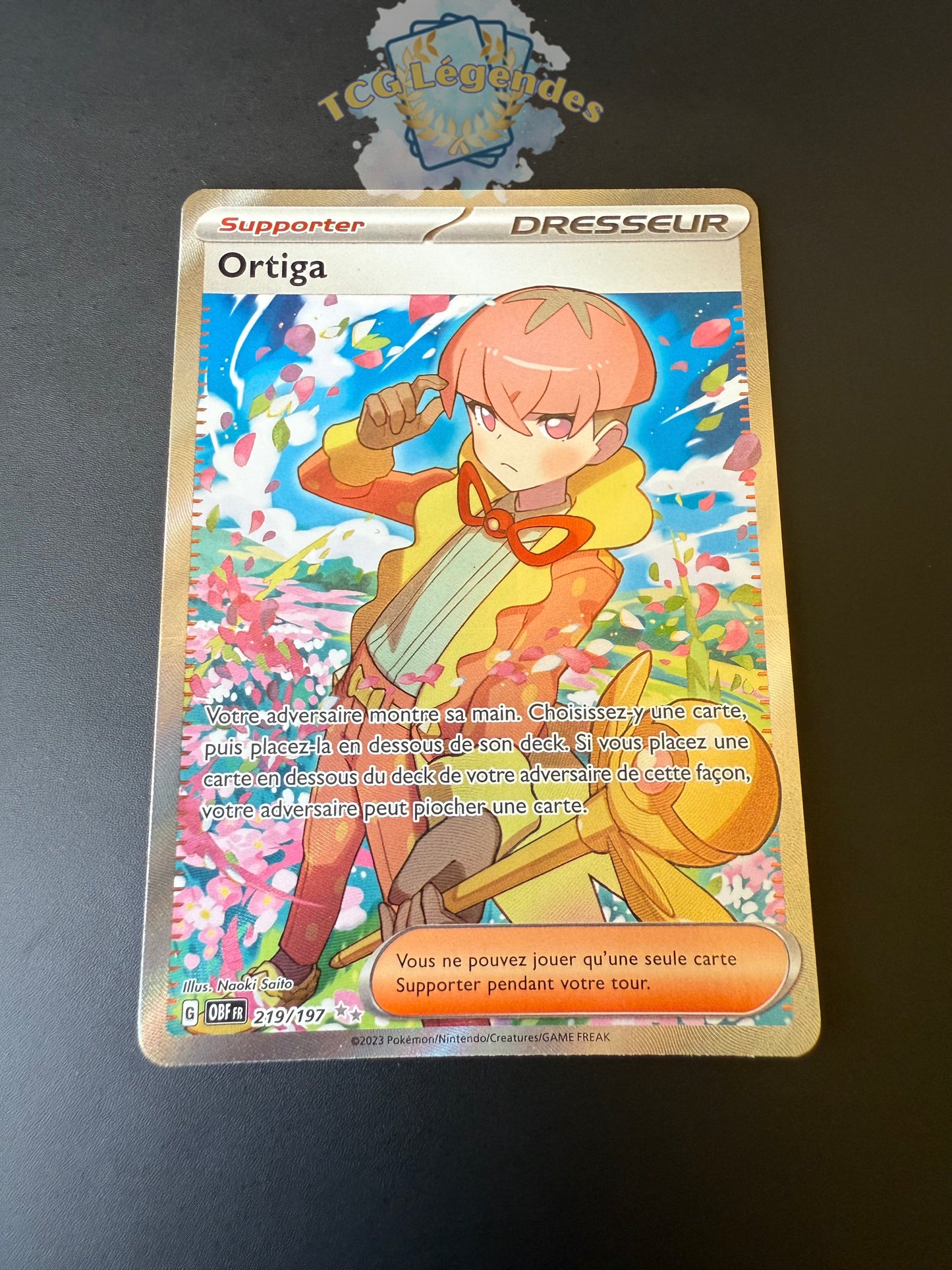 Ortiga 219/197
