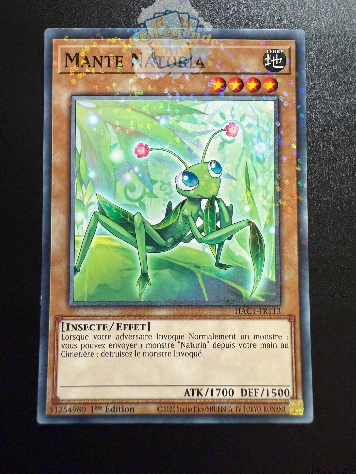 Mante Naturia HAC1-FR113 Duel Terminal