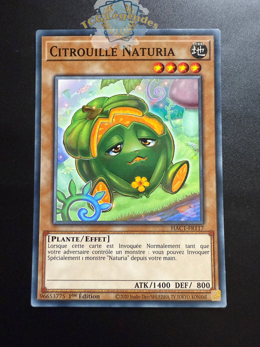Citrouille Naturia HAC1-FR117