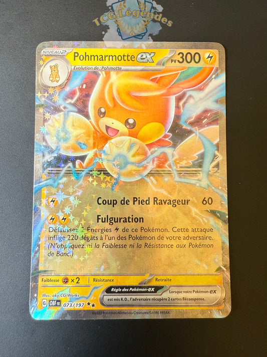 Pohmarmotte ex 073/197