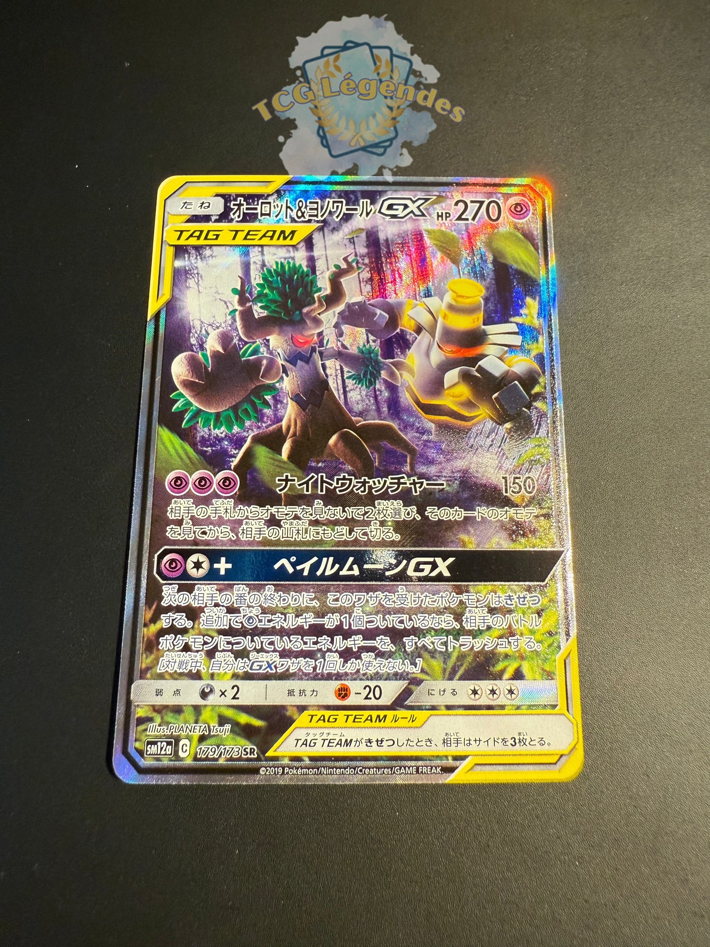 Trevenant & Dusknoir GX 179/173