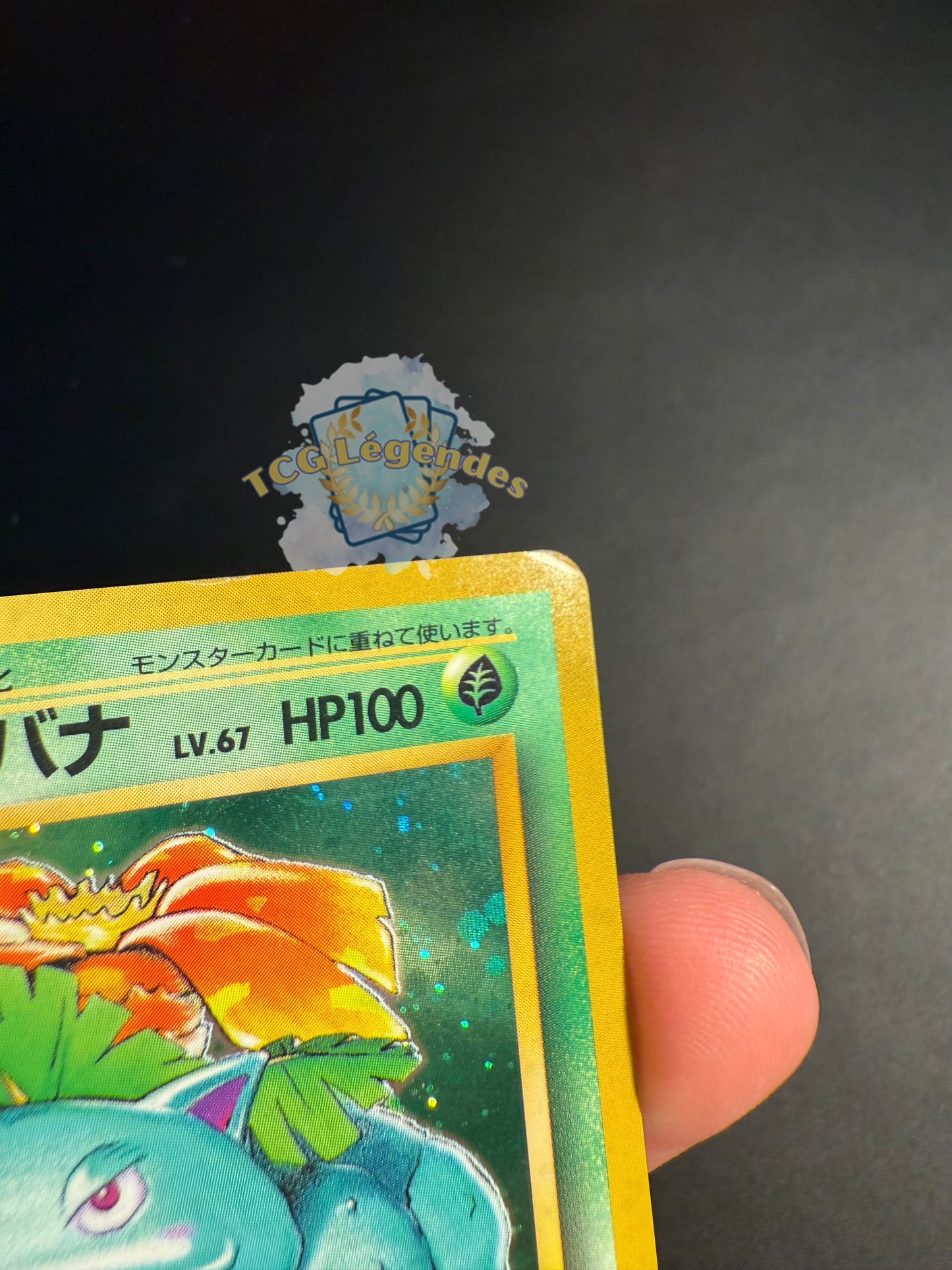 Florizarre Base set Japonais No.003