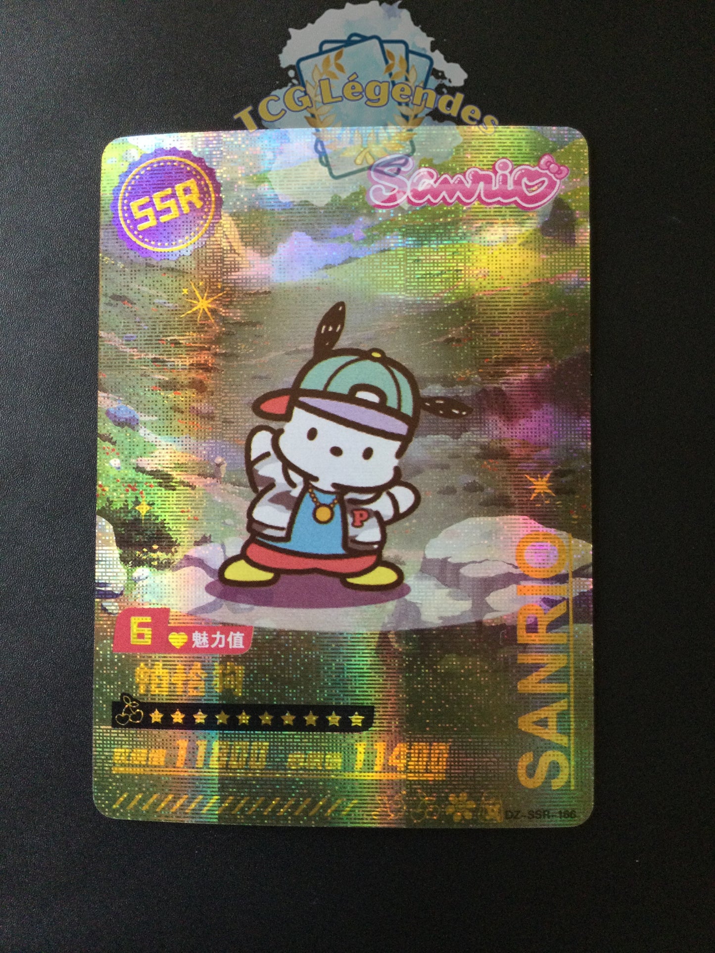 Pochacco DZ-SSR-166