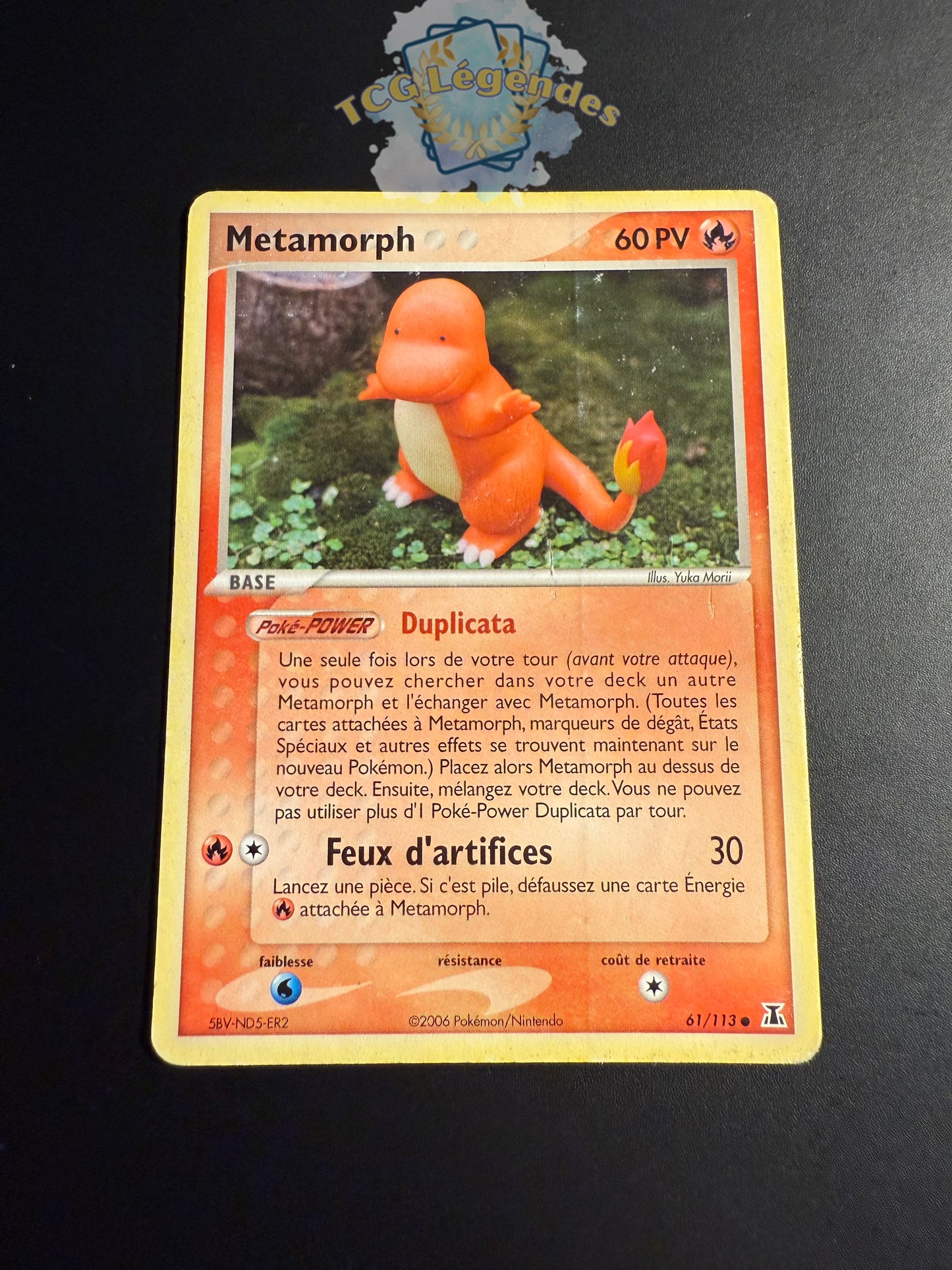 Métamorph Salamèche Commune 61/113