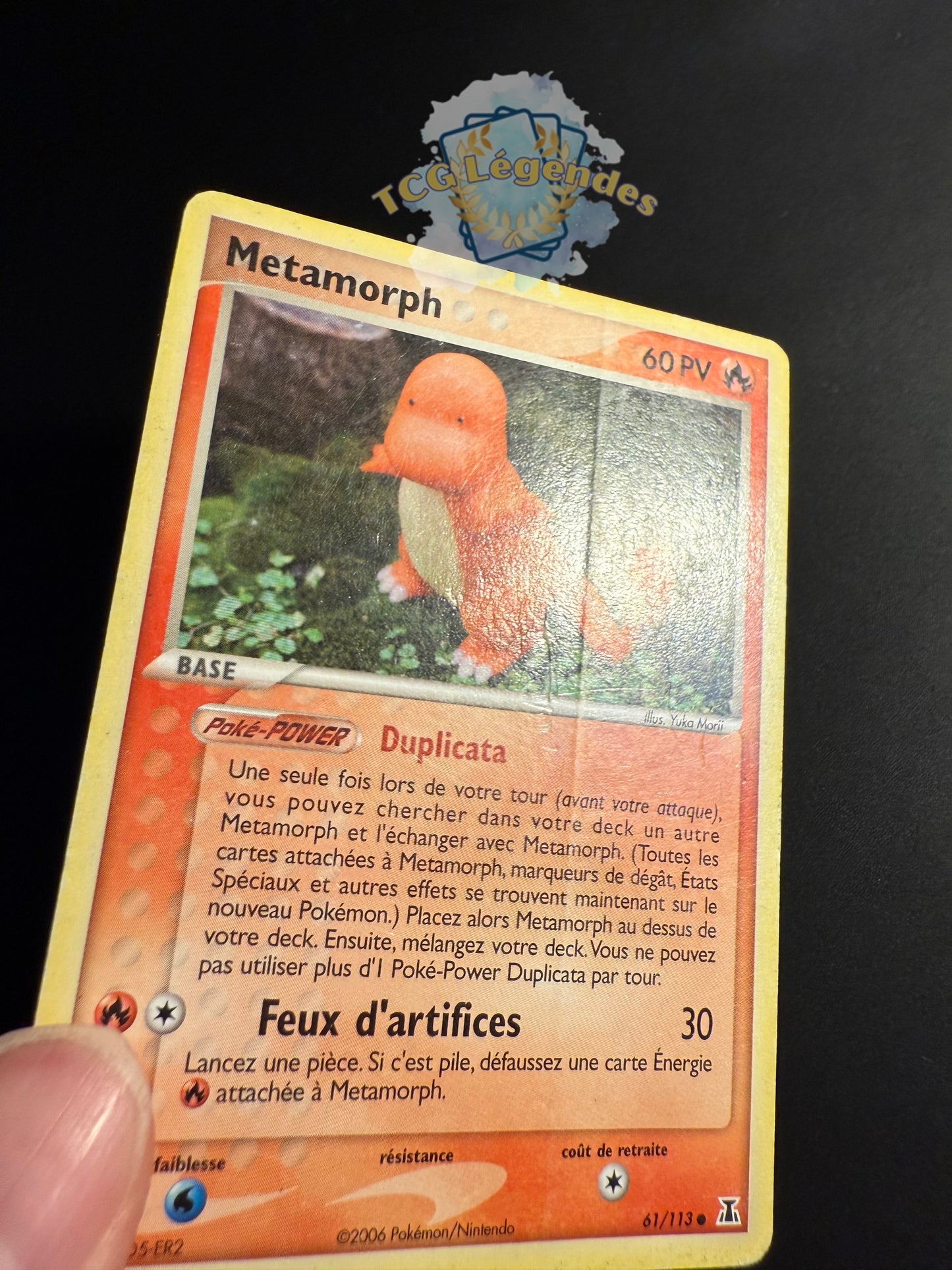 Métamorph Salamèche Commune 61/113