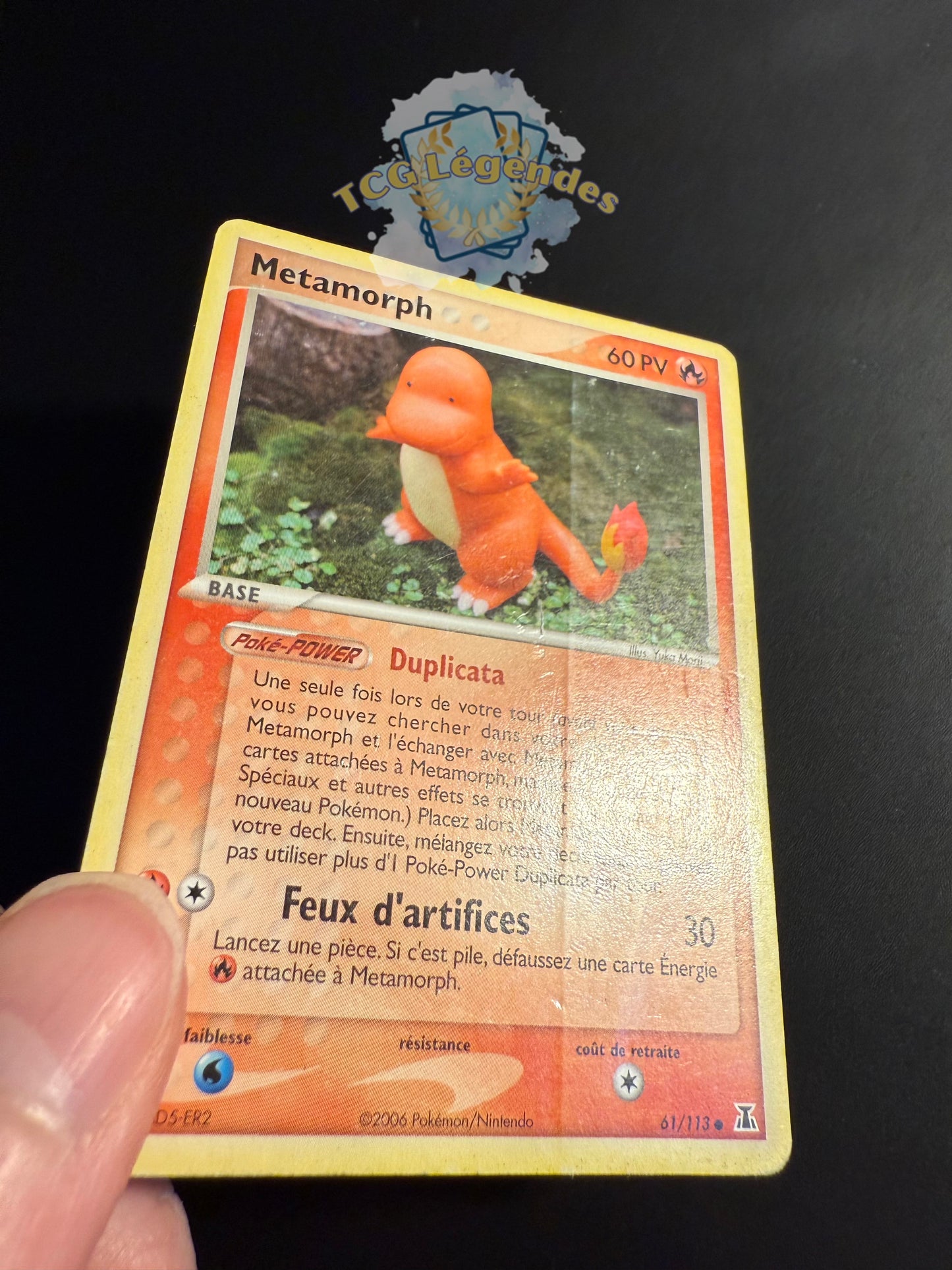 Métamorph Salamèche Commune 61/113